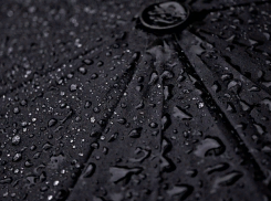 В Волгоградской области 12 мая будет дождливо