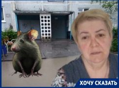 Гранд-лужа, комары, грызуны и фекалии: волгоградцы показали условия жизни в захолустном МКД