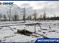 Волгоградский фотограф показал, в каком состоянии парк, переданный в руки концессионера