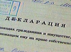 Депутаты хотят обязать глав поселков и станиц Волгоградской области отчитываться о доходах 