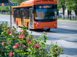 Волгоградка отсудила 200 тысяч рублей за разбитый в автобусе нос