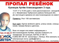 Трехлетнего мальчика из Липецкой области ищут в Волгограде