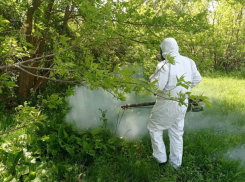 Люди в противогазах с микробиологическим оружием отбивают водоемы под Волгоградом
