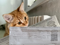 Счет за отопление на 8,5 тысяч рублей выставили жителям Волгограда