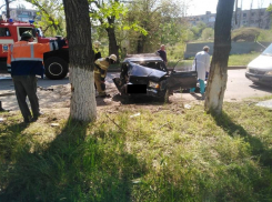 «Живой, но в тяжелом состоянии»: пенсионер за рулем «семерки» влетел в дерево в Волгограде