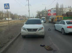 В Волгограде бизнесмен на «Лексусе» сбил пенсионерку