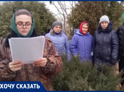 Сотрудники волгоградского приюта обратились к Бастрыкину после смертельного отравления птиц 
