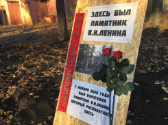 Чиновников приравняли к украинским националистам: в Волгограде второй день пикетируют за возвращение памятника Ленину