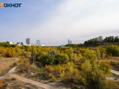 Запах как в аду: серные выбросы под Волгоградом подтвердили в лаборатории