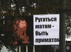 Совершенное владение матом из трех букв продемонстрировала клиенту сотрудница волгоградских «Электросетей» 