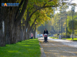 Достаем кофты: осеннее похолодание идет в Волгоград