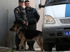 56-летний муж бизнес-вумен «заминировал» налоговую инспекцию под Волгоградом