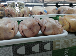 Куры стали дороже свинины на самой бюджетной ярмарке Волгограда