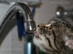 Концессии водоснабжения опубликовали график подвоза питьевой воды