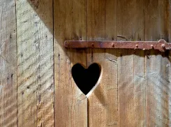 Туристическая привлекательность в действии: на миллионный Волгоград оказалось всего 15 туалетных кабин