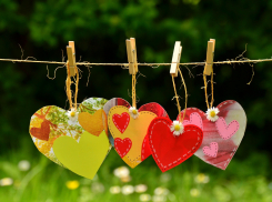 В международный день дружбы в Волгограде ожидается солнечная и ясная погода