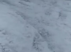 После двух снегопадов тут никто не чистил: жители Рудни о жизни в снежном плену