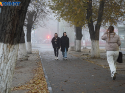 Средняя зарплата в Волгоградской области снизилась до 56,8 тысяч