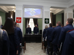 В Волгоградской области за год убили 97 человек