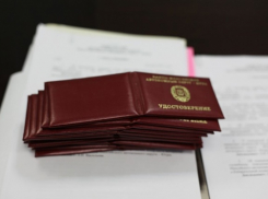 Пять депутатов из Фролово сложили полномочия из-за непредставления сведений о доходах