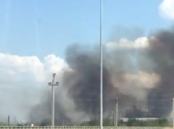 Крупный ландшафтный пожар на западе Волгограда попал на видео
