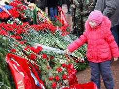 Фоторепортаж: 10 тысяч алых гвоздик у Вечного Огня в Волгограде