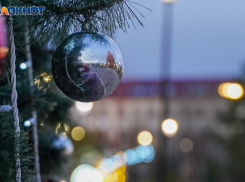 Штрафы до 3 миллионов и тюрьма грозят волгоградским охотникам за новогодними елями 