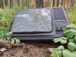 В Волгоградской области временно отключат телевидение и радио