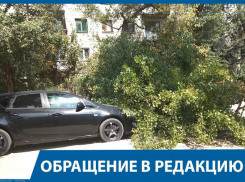 Рухнувший на автомобиль тополь чуть не убил парня на юге Волгограда