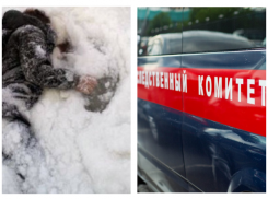 Рецидивистку обнаружили вмерзшей в лед на юге Волгограда