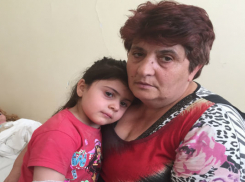 В Волгограде искусавшего 4-летнюю девочку пса отлавливать не собираются 