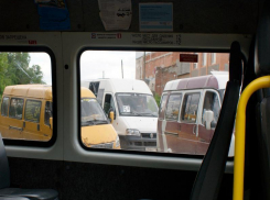  Волгоградцы увидят маршрутки №41А и 51К не раньше 23 марта