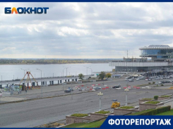 Фотограф запечатлел, как на месте вырубленных елей стелют асфальт в Волгограде