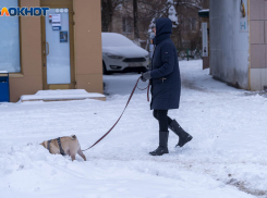 Морозы и снегопады накроют Волгоградскую область 22 февраля