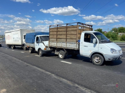  Фургон снес грузовик под Волгоградом: в ДТП выжил 30-летний мужчина