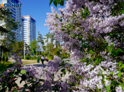 Особенное желание смогут загадать волгоградцы в июне: астролог