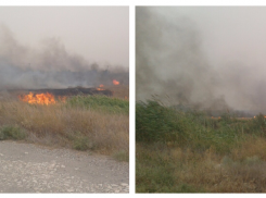 Все Заволжье охвачено огнем