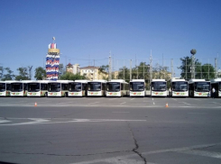 В Волгограде и Волжском появилось 58 современных автобусов с кондиционерами