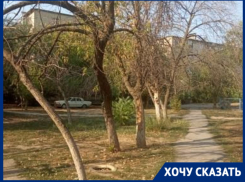 “Даже выборы в Госдуму проходят онлайн”: волжане взбунтовались из-за требований УК с личным посещением 