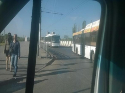 Автобусы «Питеравто» и ПАТП №7 столкнулись напротив ТРЦ «Акварель»