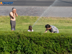 МЧС предупреждает о 41-градусной жаре в Волгоградской области