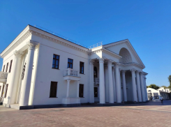Волгоградский театр кукол сделал платными фотосессии на фоне красивого фасада и вызвал массовый гнев