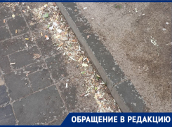 Волгоградцы пожаловались на горы окурков на остановках