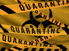 В Волгоградской области остров закрыт на карантин