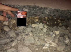 Новообразования на дорогах: автолюбители продолжают терять колеса в ямах Волгограда