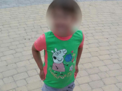 Полицейские обыскали все гаражи в Калаче-на-Дону в поисках 5-летней девочки 