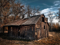 Глава семейства найден мертвым в сарае в Волгоградской области
