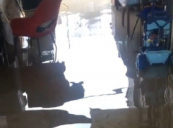 Еще три района ушли под воду в Волгоградской области 