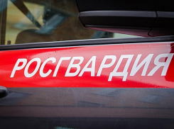 На юге Волгограда подростки-рецидивисты обокрали слесаря «Каустика»