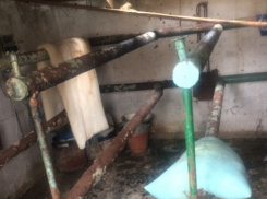 Пожар вспыхнул на территории самой страшной психбольницы Волгоградской области 